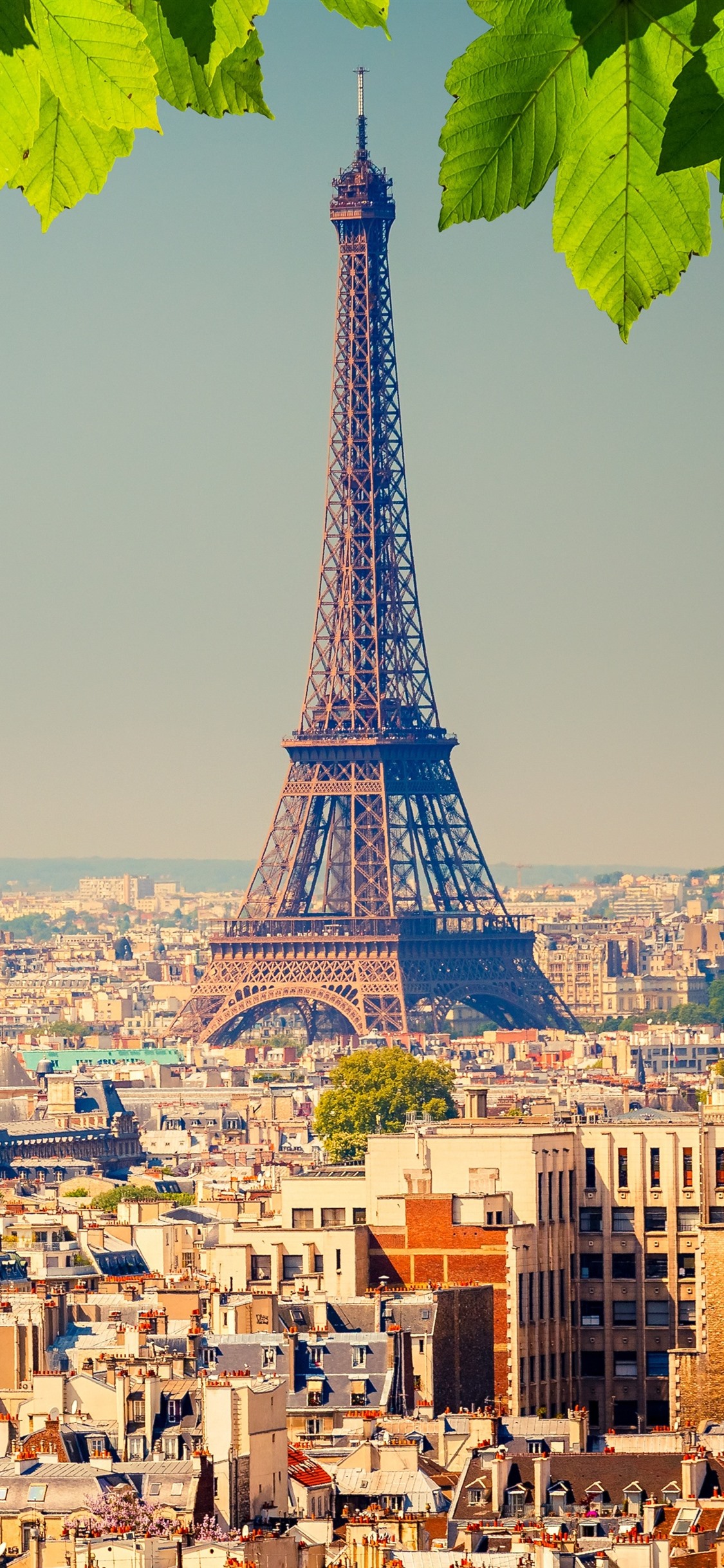 Iphone Wallpaper Eiffel Tower, City, Green Leaves, - Eiffel Tower Wallpaper Iphone - HD Wallpaper 