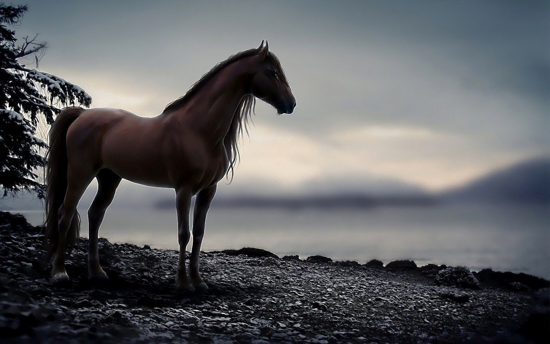 1920x1200, 
 Data Id 131582 
 Data Src /walls/full/e/6/c/131582 - Horse Backgrounds - HD Wallpaper 