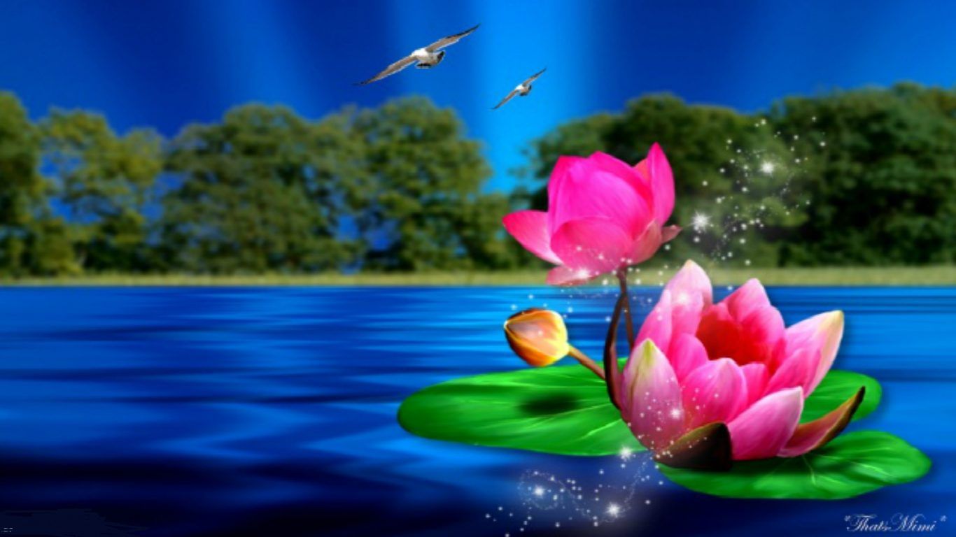 Flowers For Wall Paper For Desk Top - HD Wallpaper 