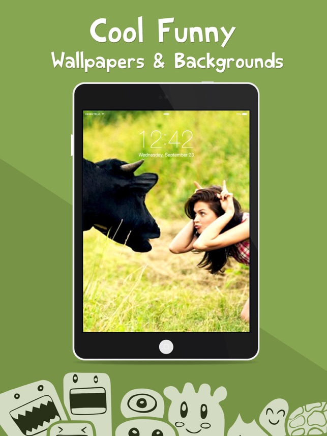 Funny Wallpaper Memes - HD Wallpaper 