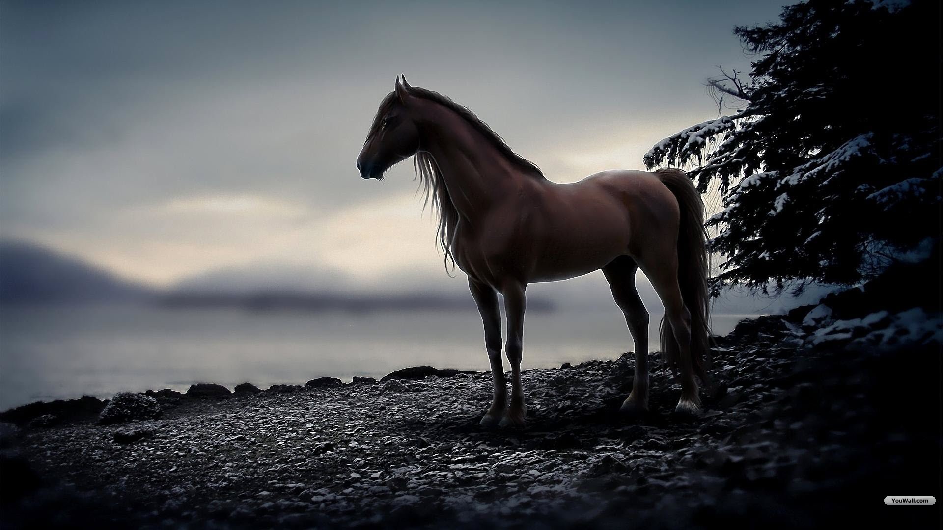Horse Desktop Wallpaper 
 Data-src /w/full/7/2/a/268622 - Horse Wallpaper Hd - HD Wallpaper 