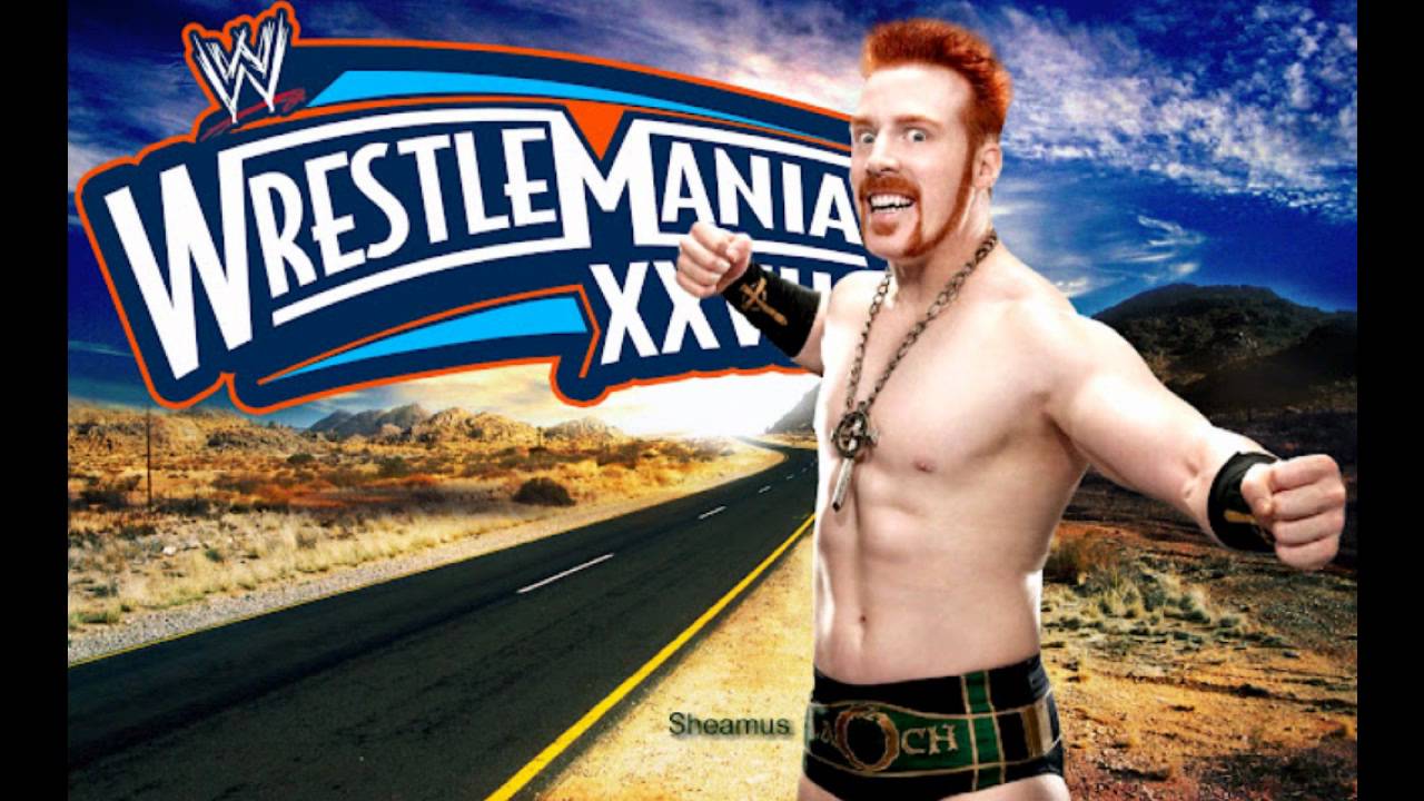 Wwe Wrestlemania 28 - HD Wallpaper 