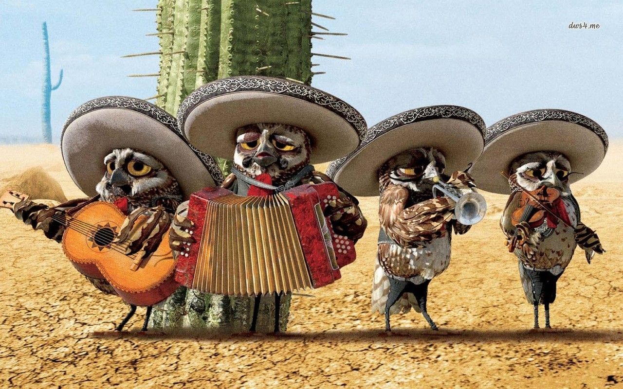 Mariachi Owls - HD Wallpaper 