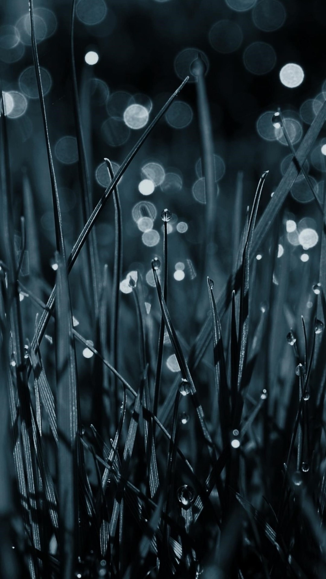 Dew Drops On Grass Pic Wallpaper - Samsung J4 Core - HD Wallpaper 