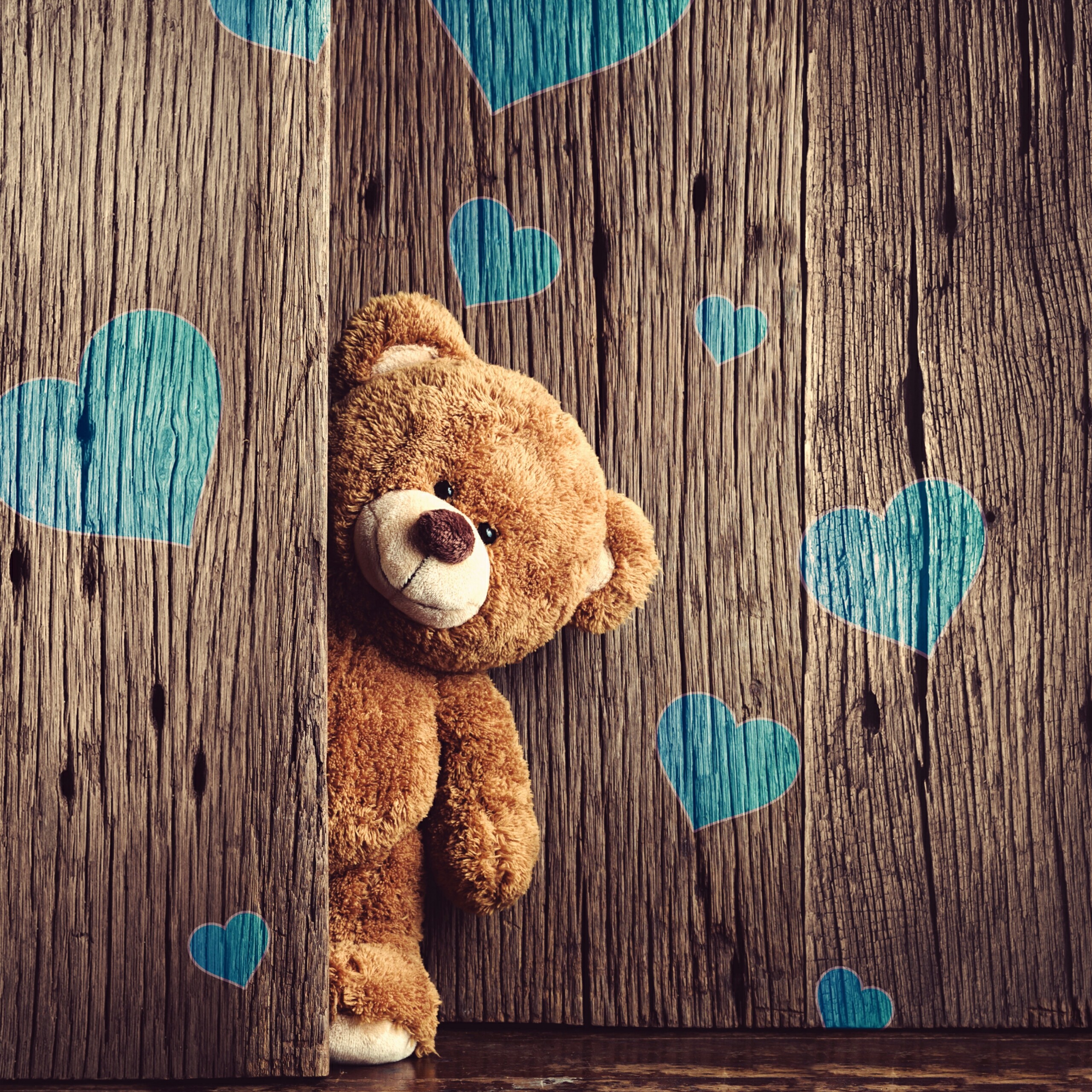 Amazing Cool Wallpapers Hd Wallpapers Backgrounds Images - Blue Teddy Bear Backgrounds - HD Wallpaper 