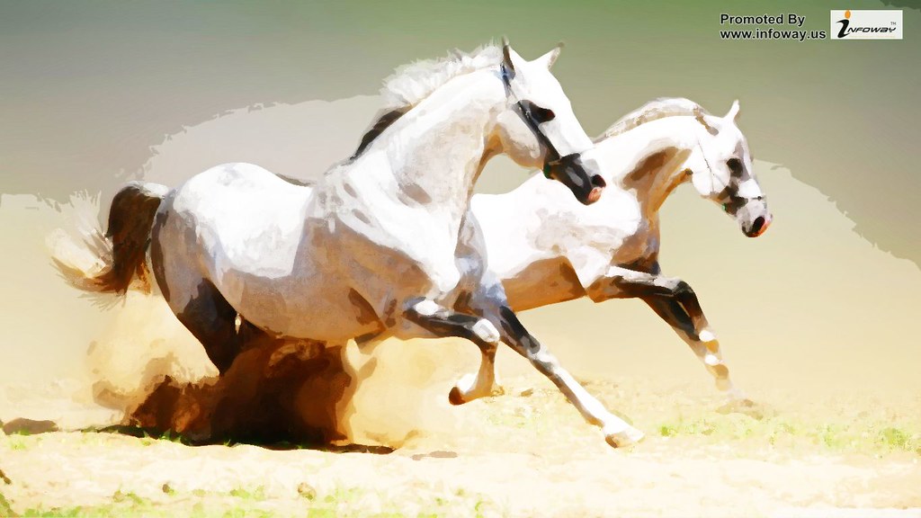 White Horses - HD Wallpaper 