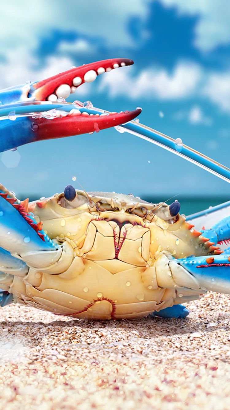 Red White And Blue Crab - HD Wallpaper 