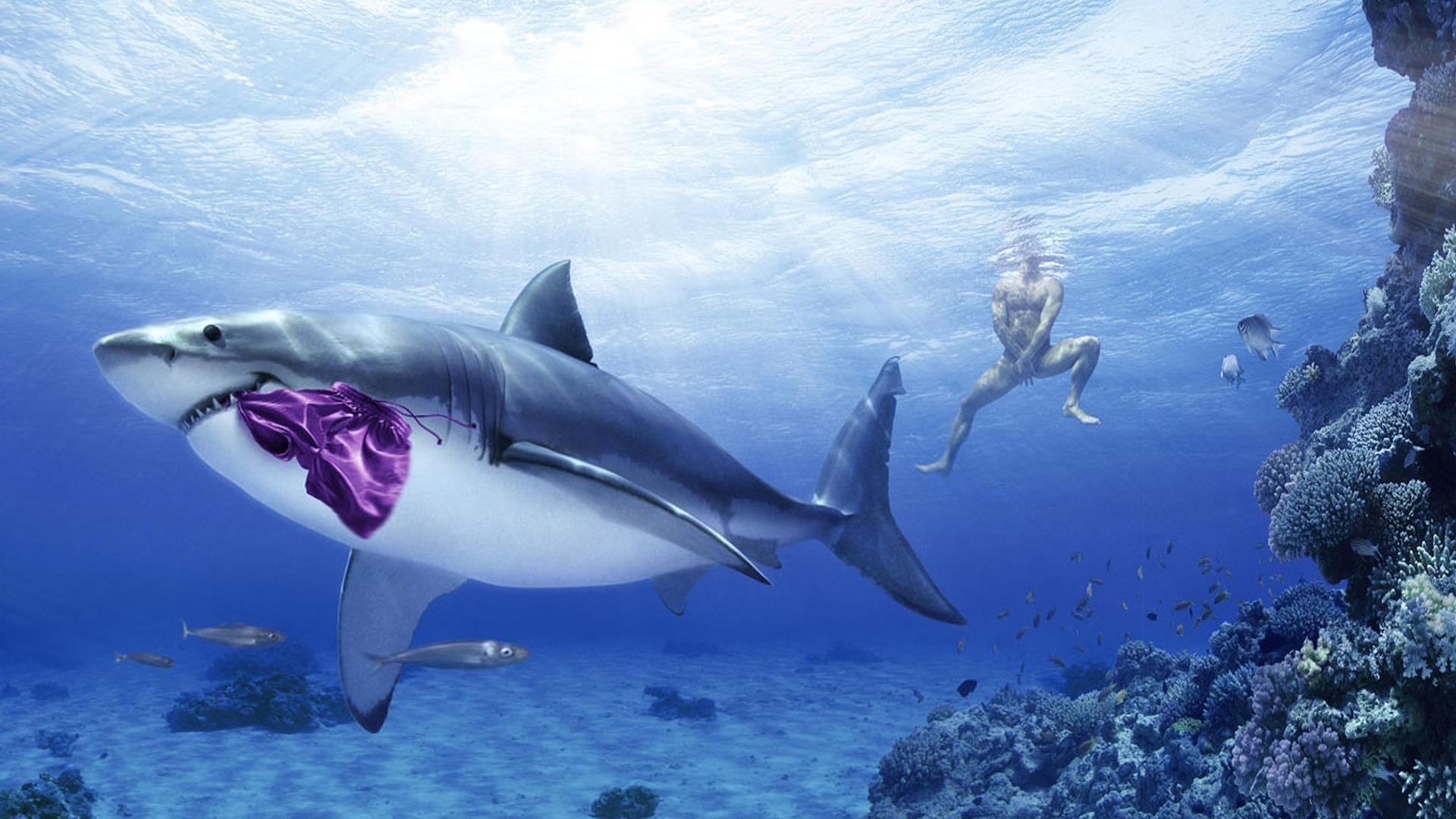 Download Wallpaper Cgi Funny - Great White Shark Hd - HD Wallpaper 