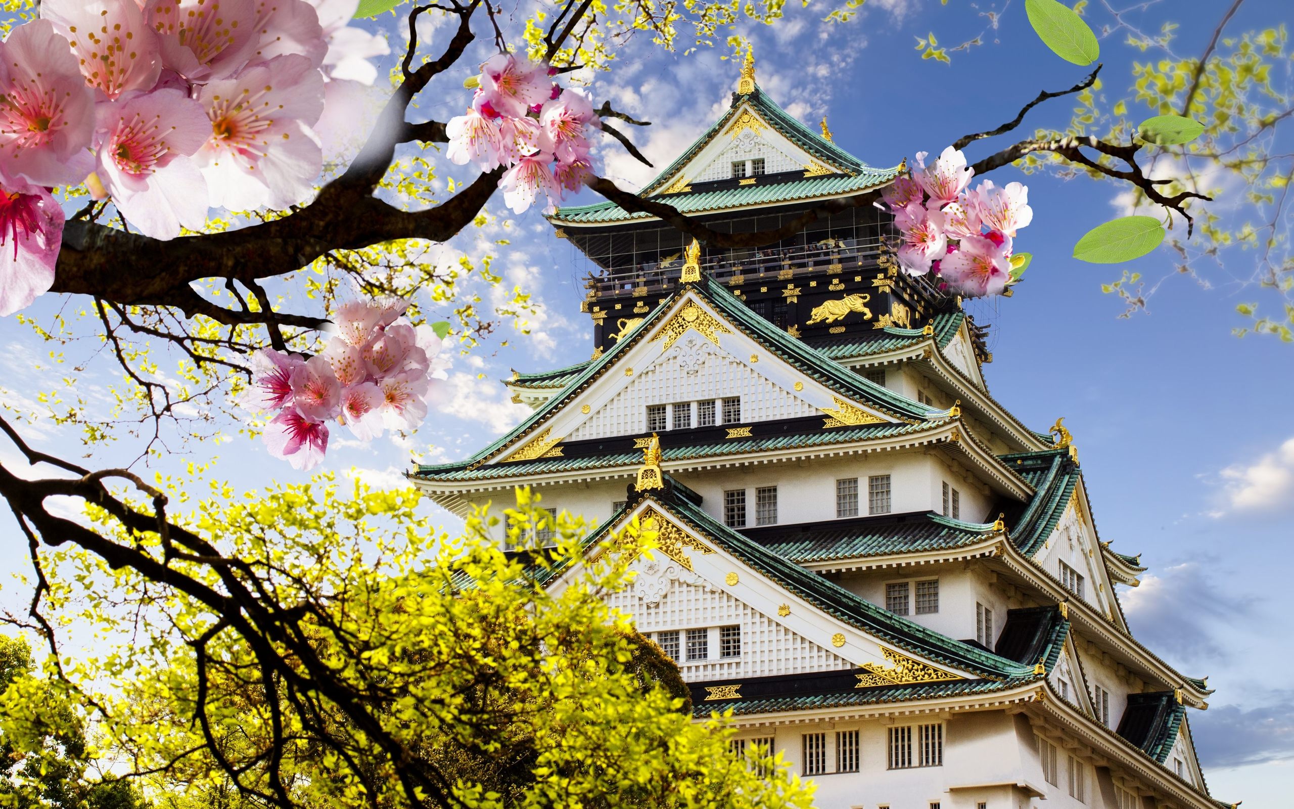 Japanese Castle - HD Wallpaper 