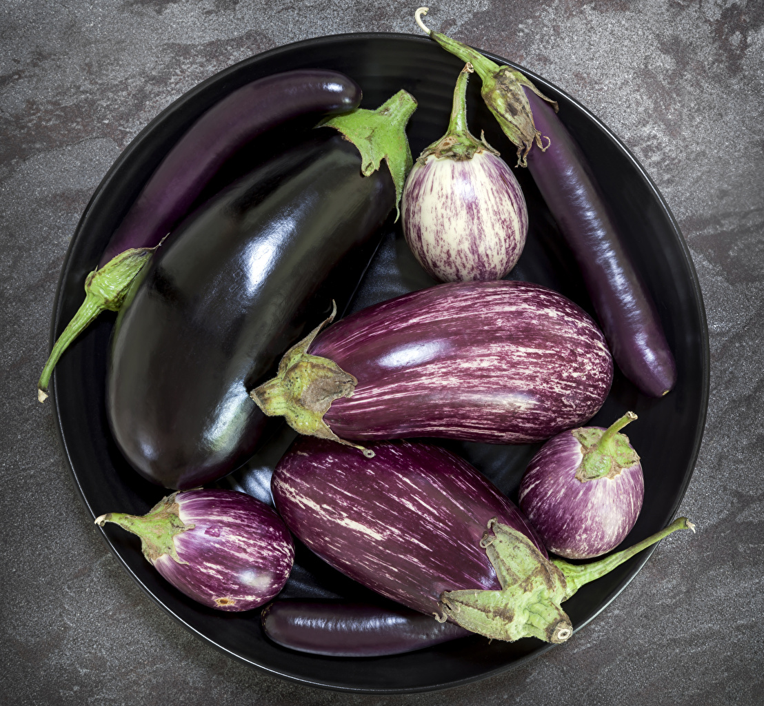 Eggplant - HD Wallpaper 