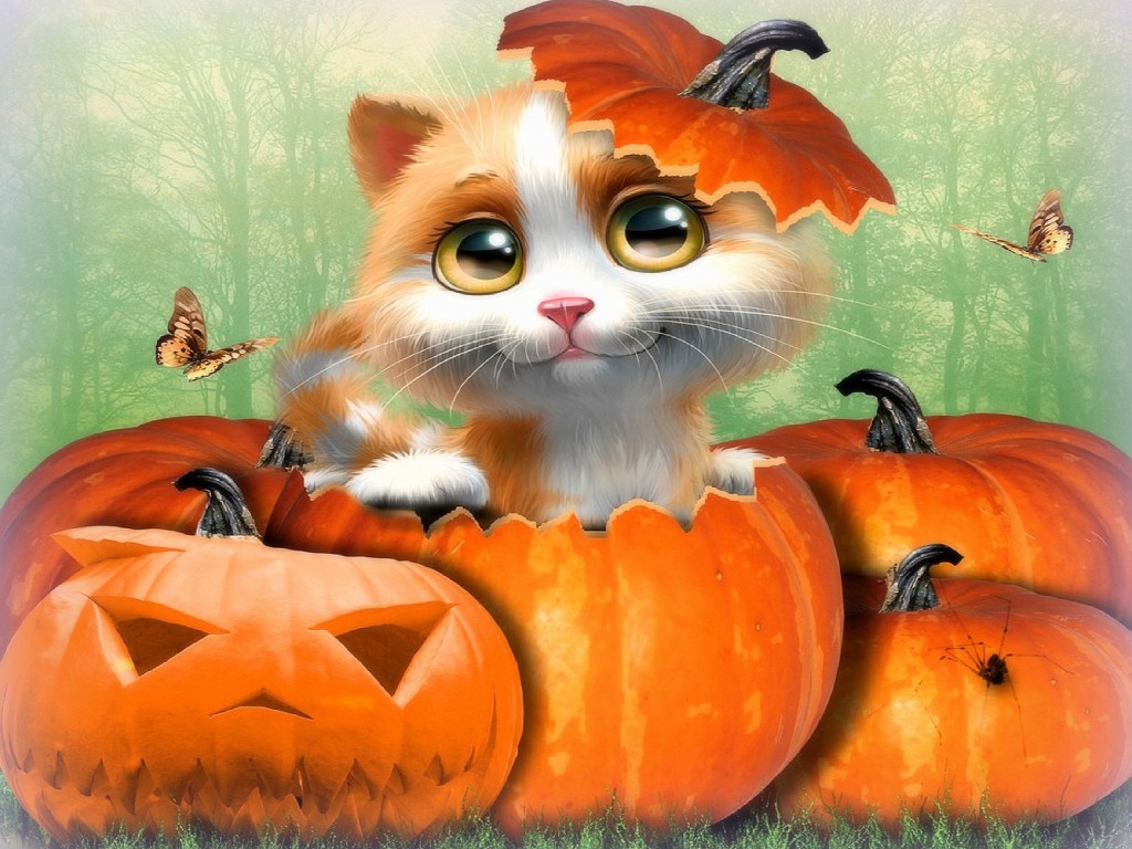 Desktop Halloween Cat Background - HD Wallpaper 
