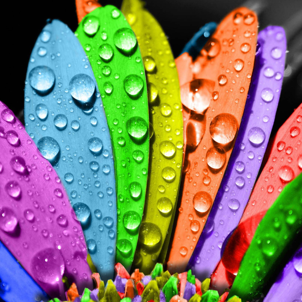 Oppo New Walpaper Hd - HD Wallpaper 