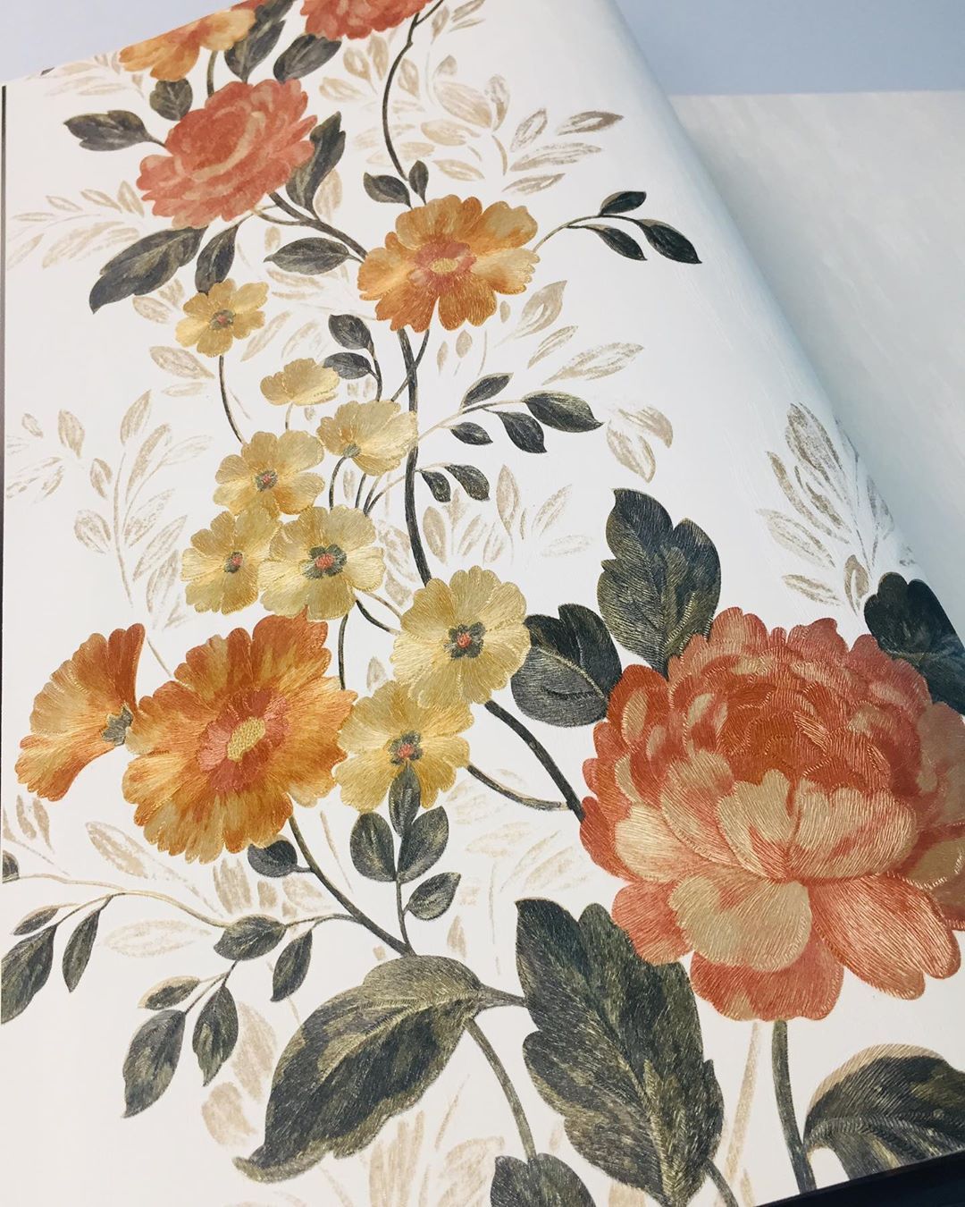 Garden Roses - HD Wallpaper 