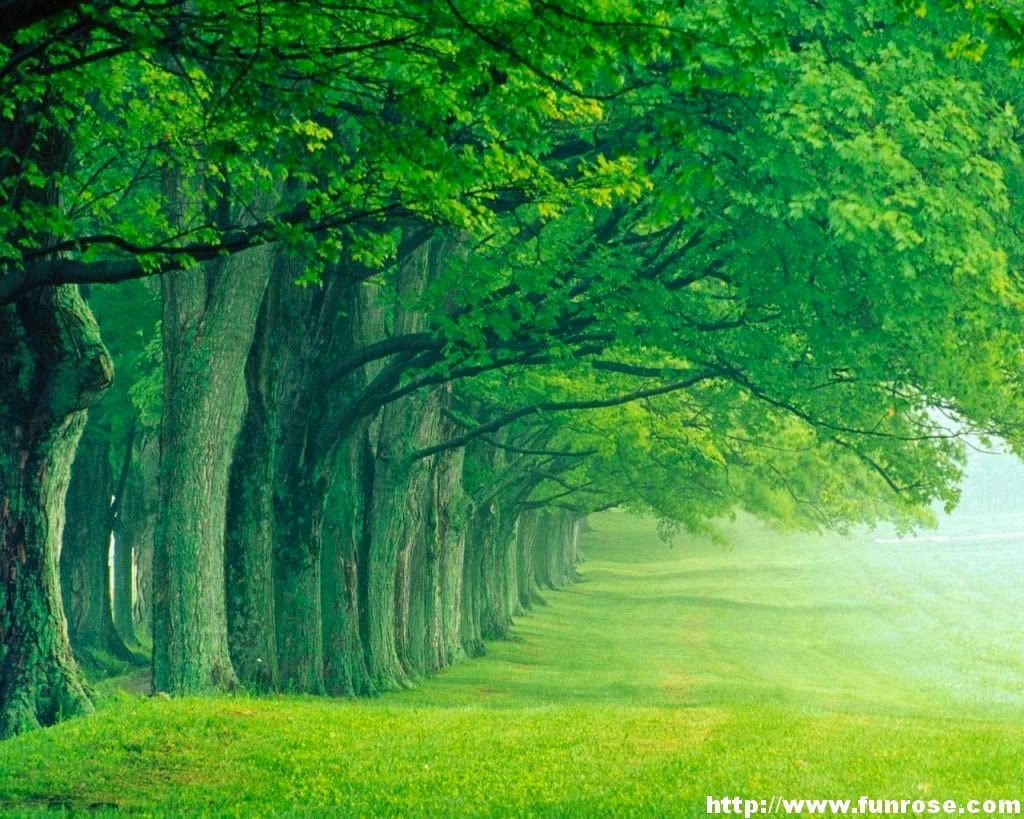 Summer - HD Wallpaper 