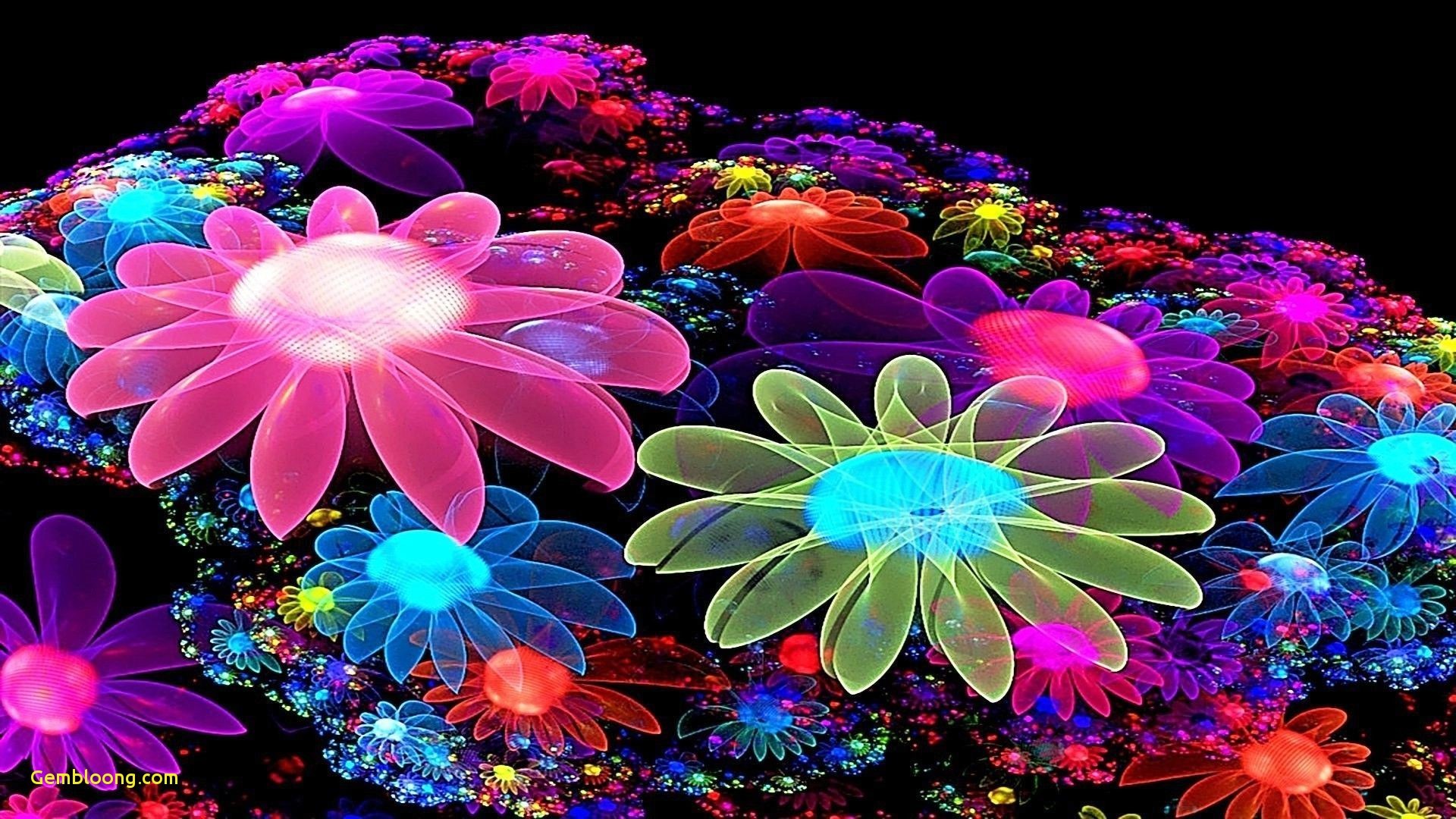 1920x1080, Amazing Colorful Wallpapers Beautiful Colorful - Flower Image 3d Hd - HD Wallpaper 