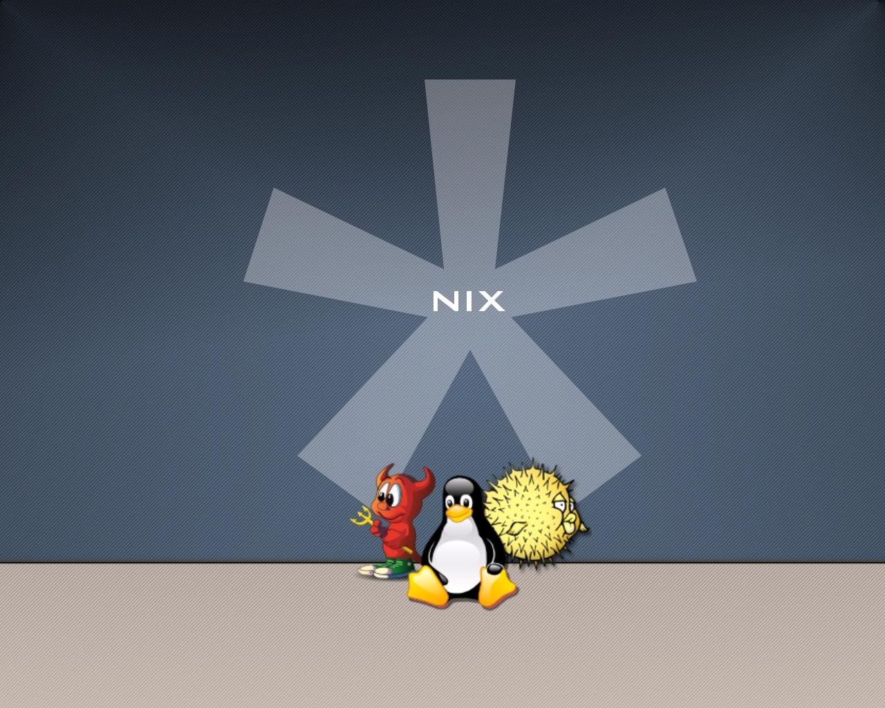 Colorful Images High Resolution Images Display Monitor - Cartoon - HD Wallpaper 