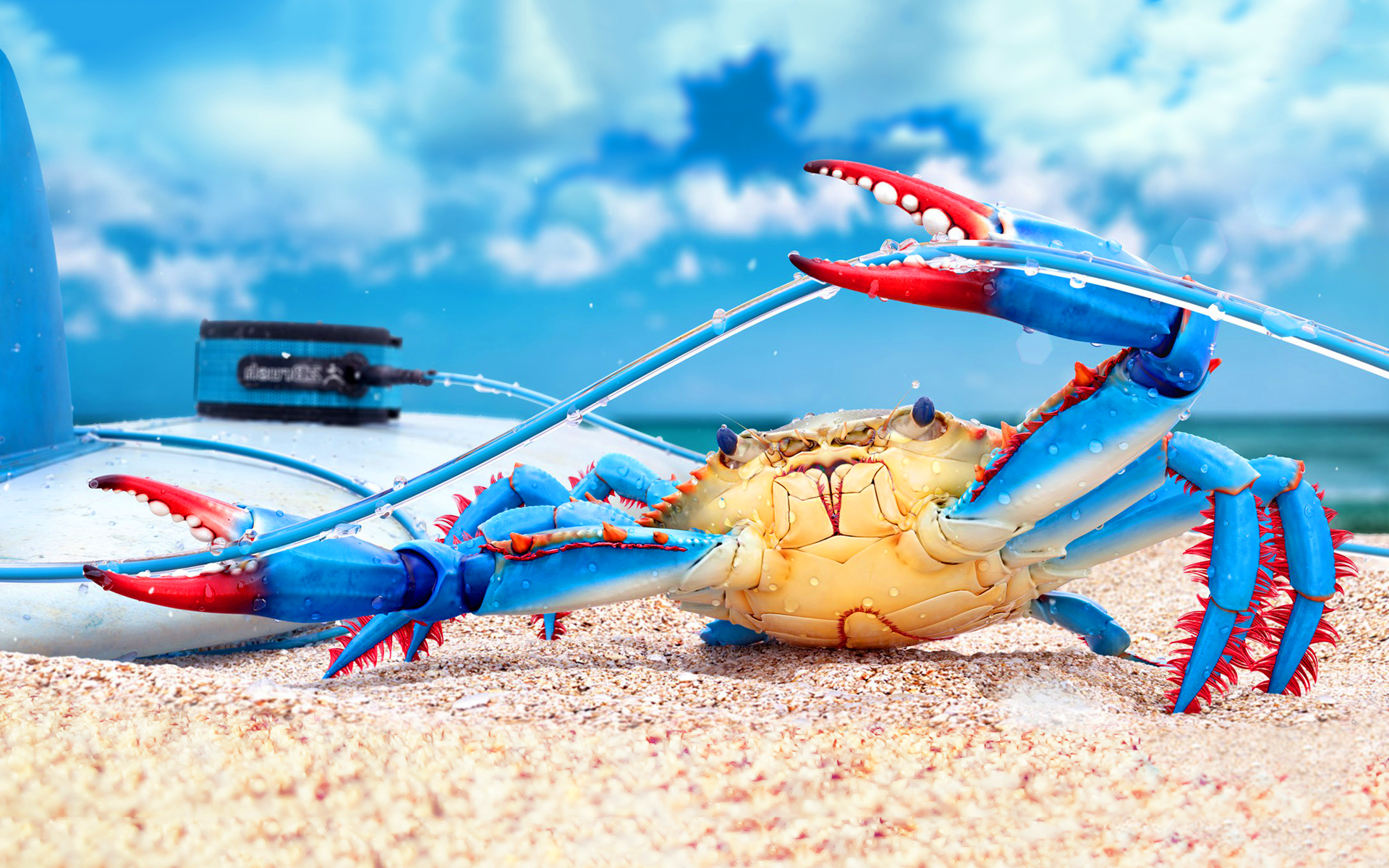Colorful Crab - HD Wallpaper 