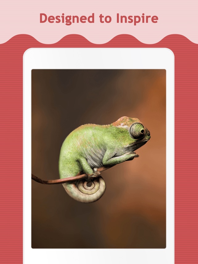 4k Baby Chameleon - HD Wallpaper 