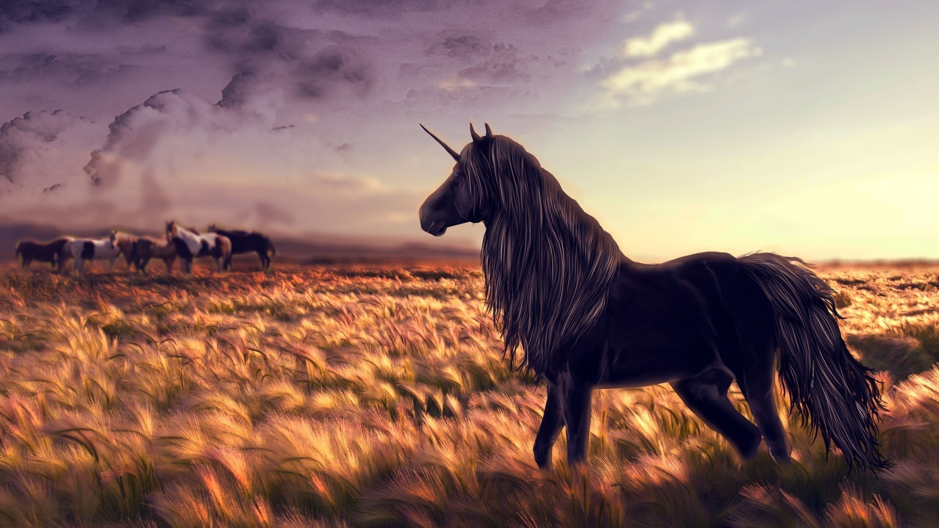 60 Horse Wallpapers In Hd, 1920x1080, 1080p And Many - Unicorn Field - HD Wallpaper 