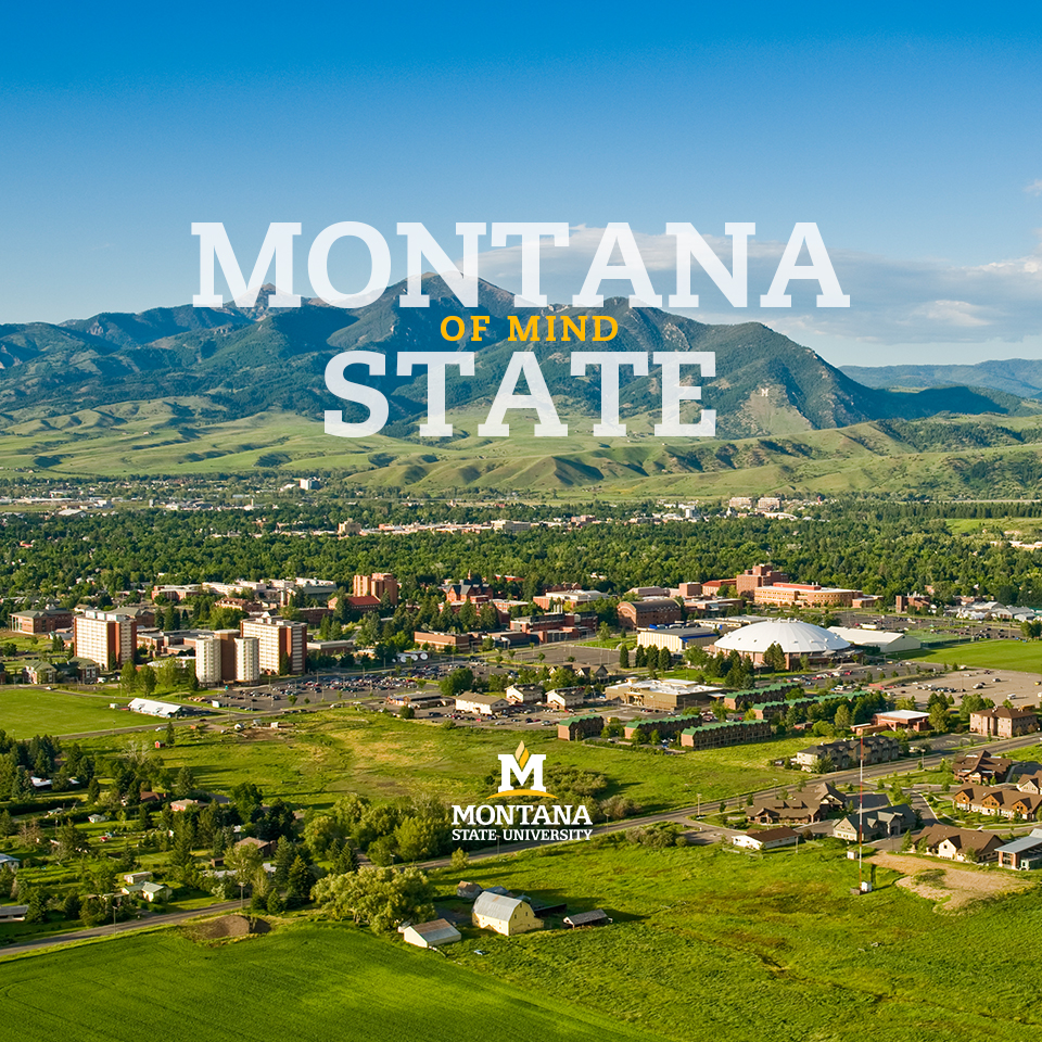 State Of Mind Wallpaper - Bozeman Mt Screensaver - HD Wallpaper 
