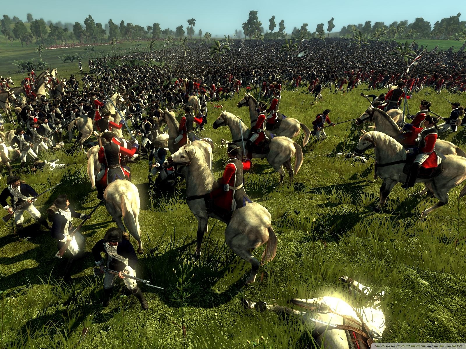 Empire Total War - HD Wallpaper 