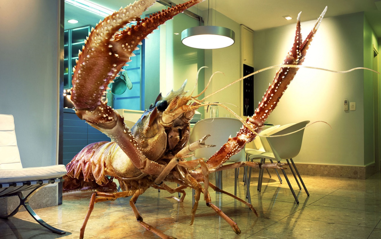 Large Crab Wallpapers - Desktop Crab - HD Wallpaper 