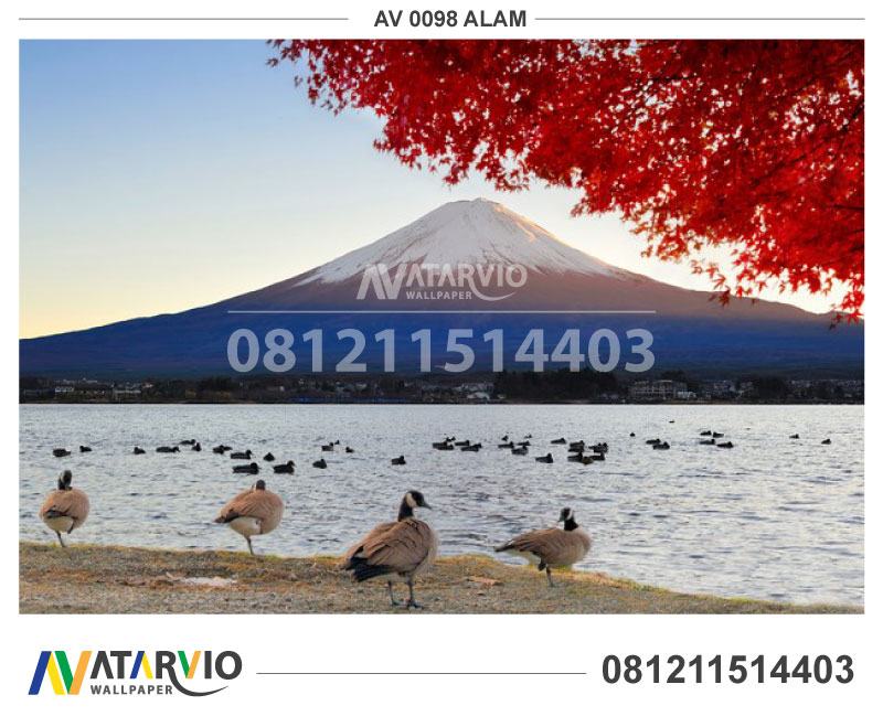 Jual Wallpaper Murah Jakarta - 富士山 五 合 目 - HD Wallpaper 