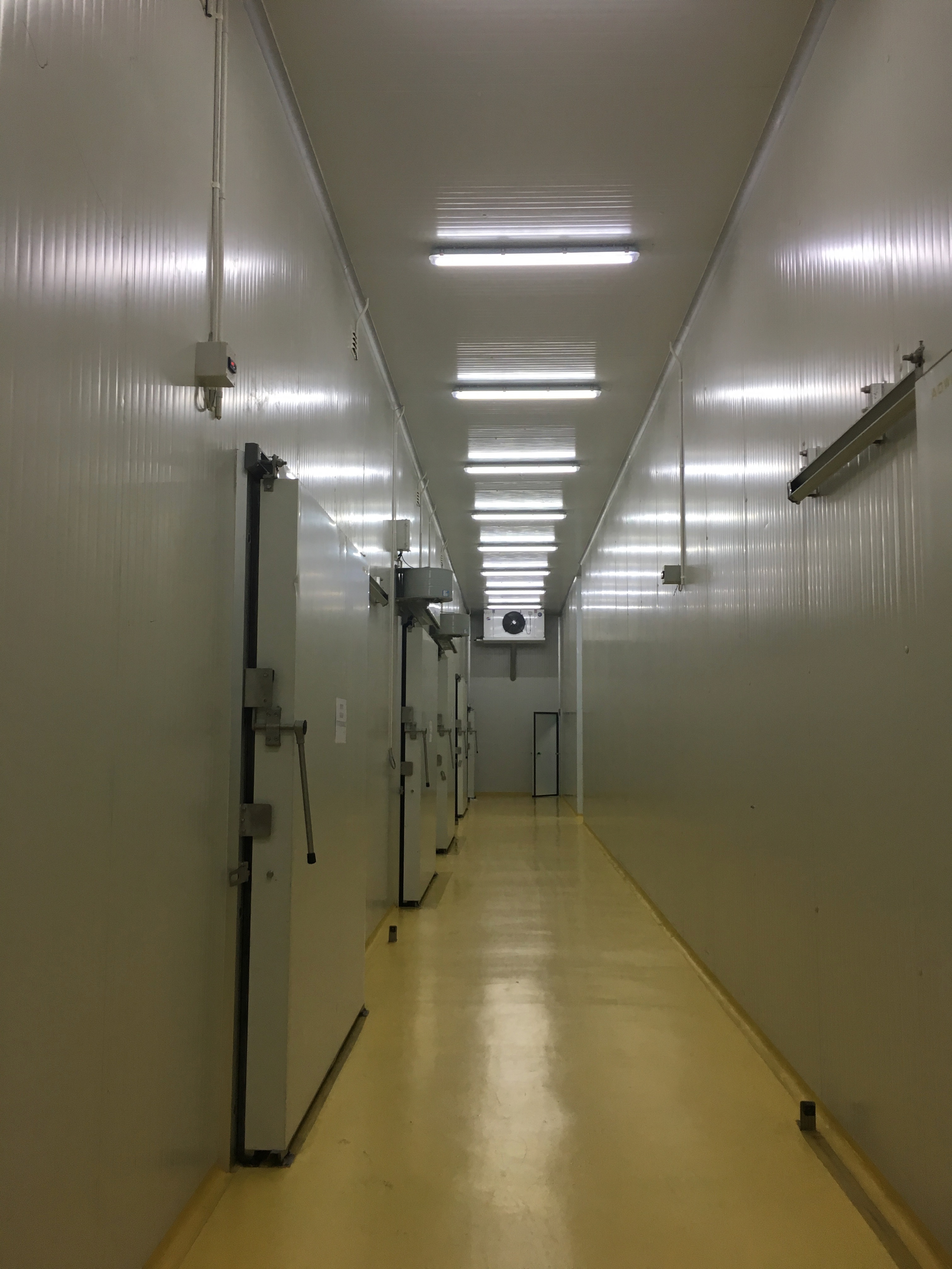 Ceiling - HD Wallpaper 