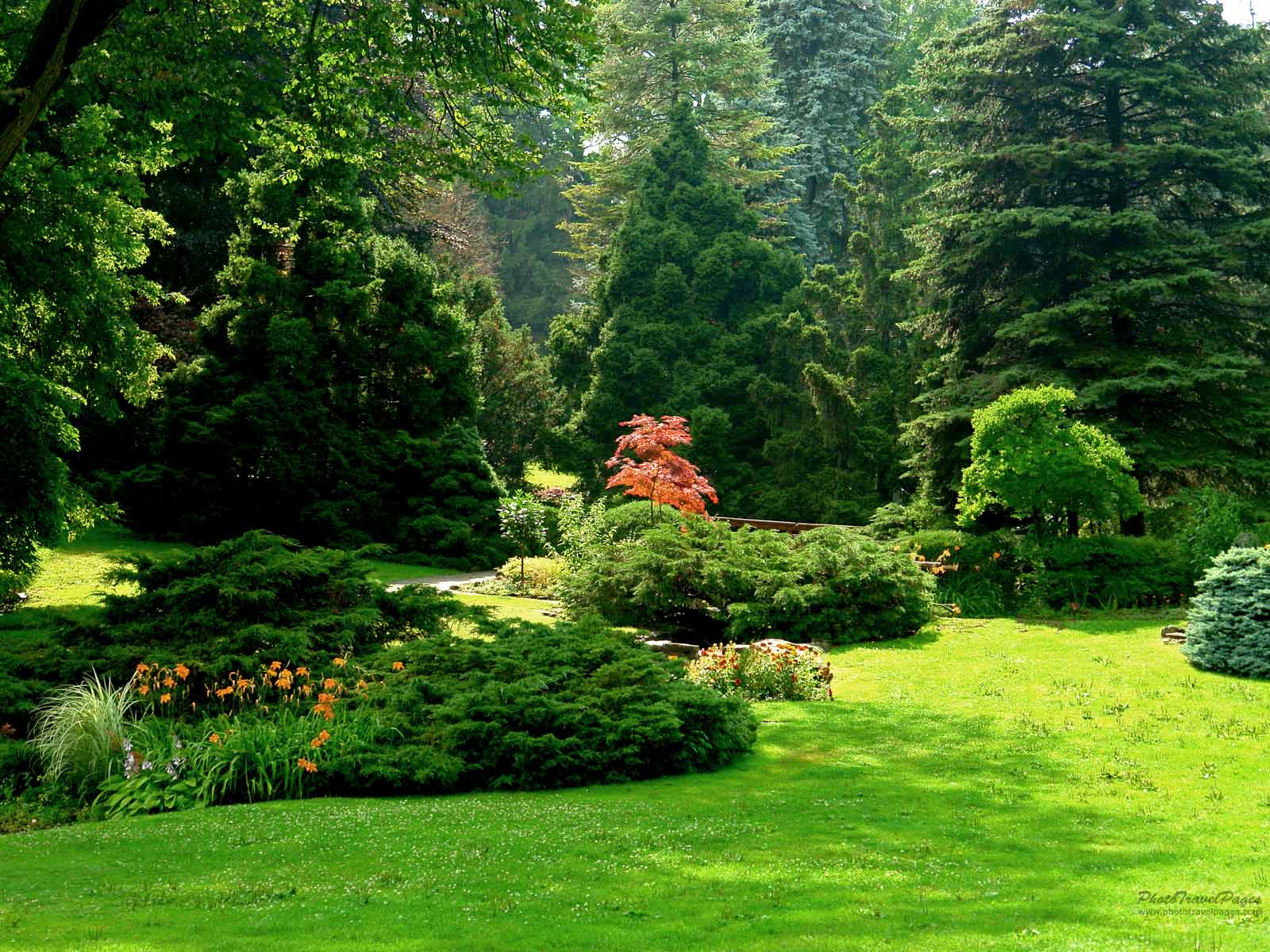 Where Is Wallpaper - Garden Field - HD Wallpaper 