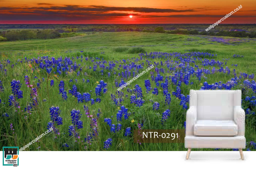 Texas - HD Wallpaper 