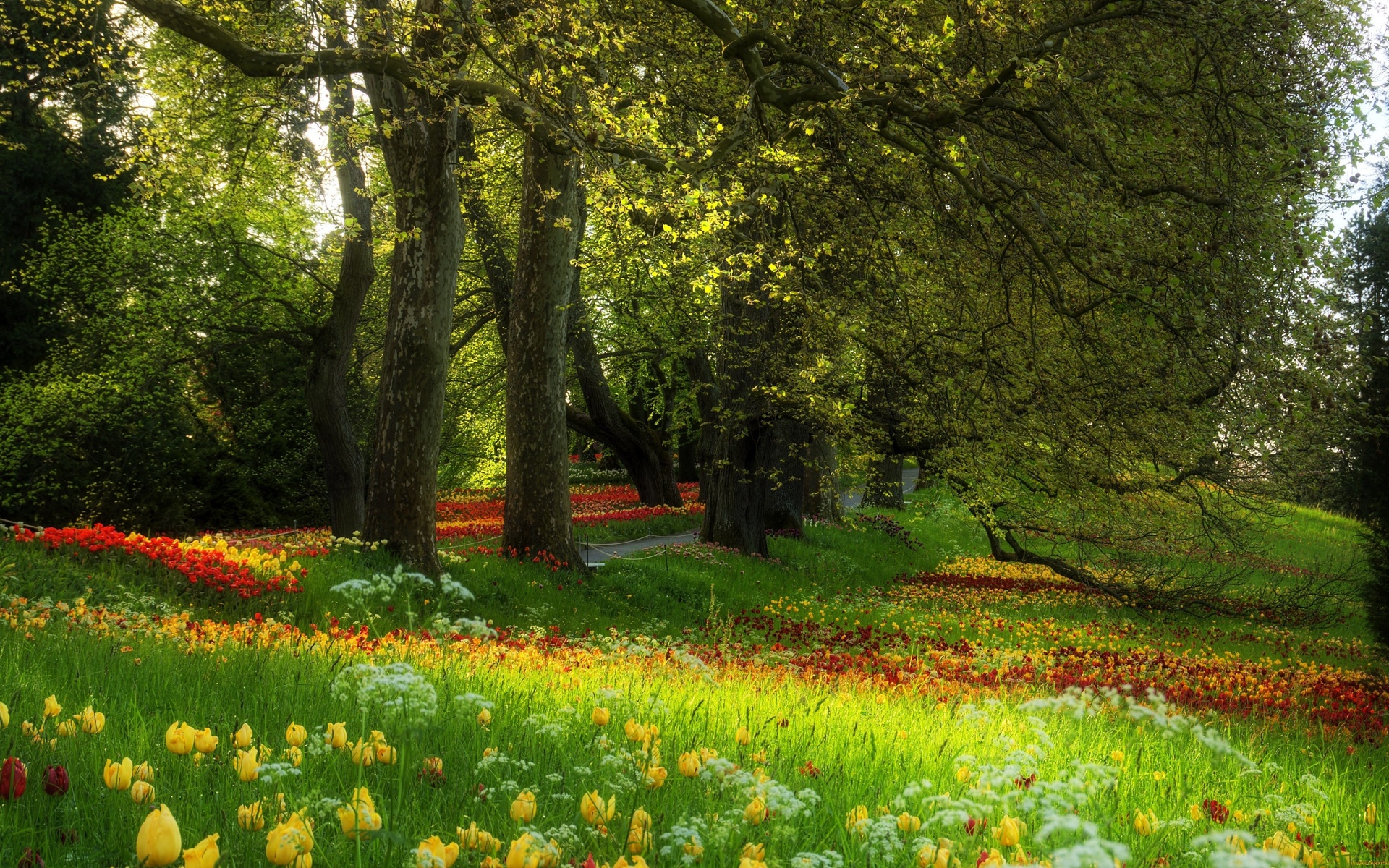 Background Flower Green Garden - HD Wallpaper 