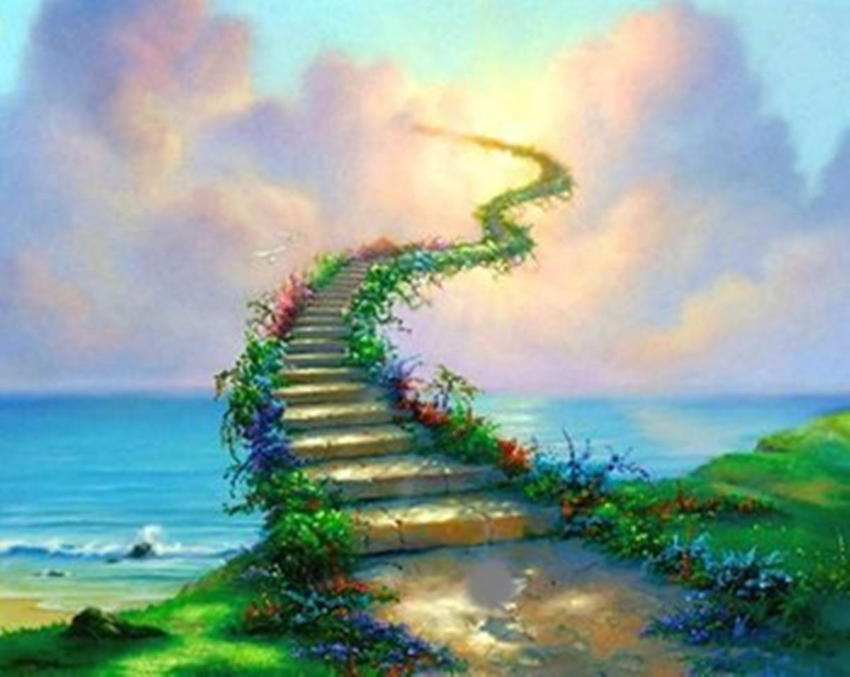 Image - HD Wallpaper 