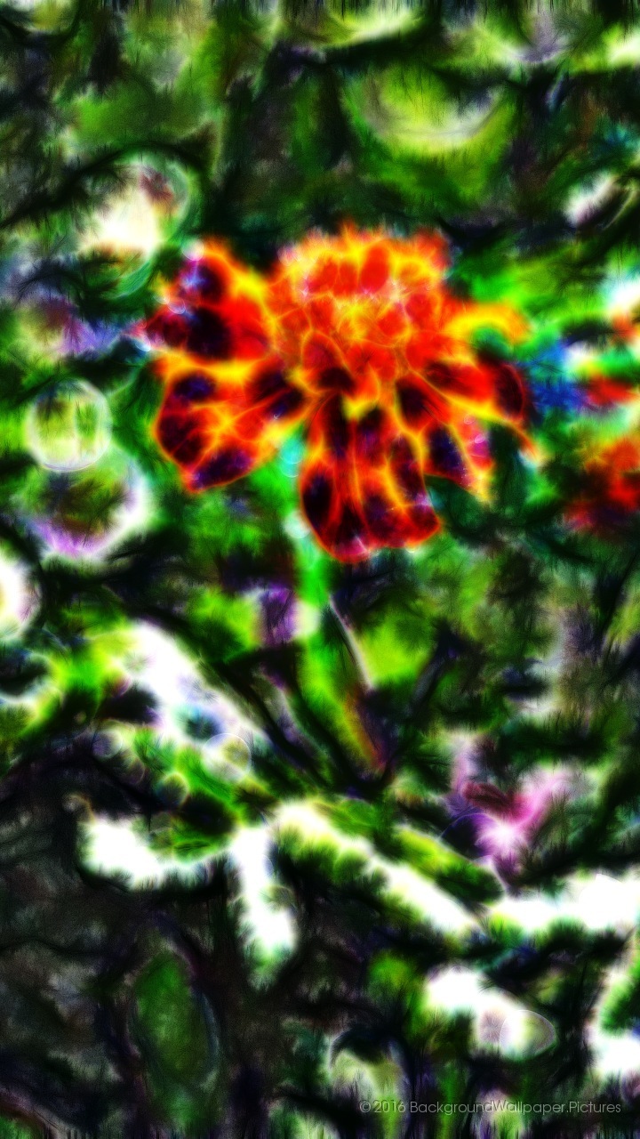 Wallpaper Untuk Telefon Bimbit - Wallpaper - HD Wallpaper 