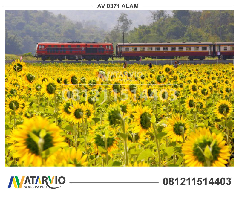 Butik Wallpaper Dinding Murah - Safe Journey By Train - HD Wallpaper 