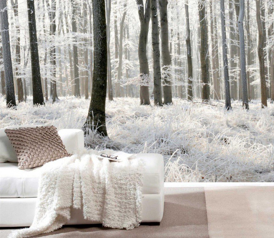 Wall Murals Winter - HD Wallpaper 
