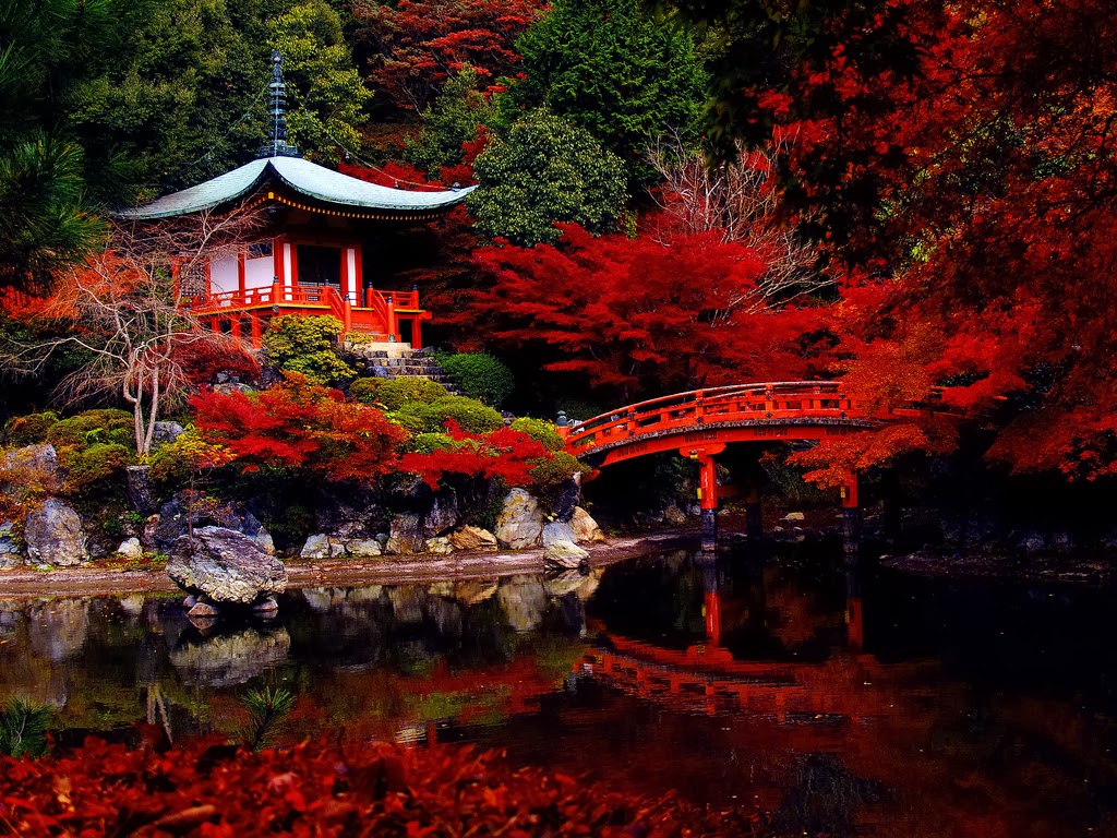 Japanese Garden At Night - 1024x768 Wallpaper 