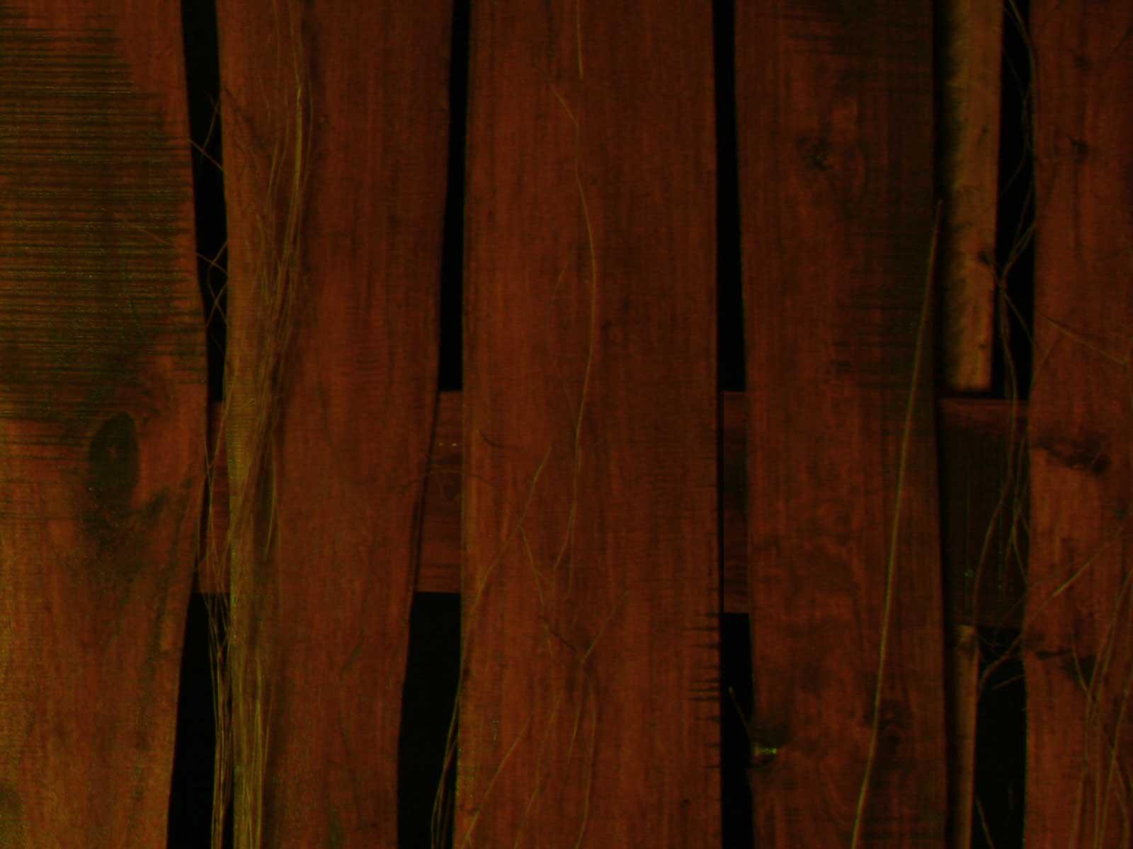 Wood Backgrounds - Plank - HD Wallpaper 