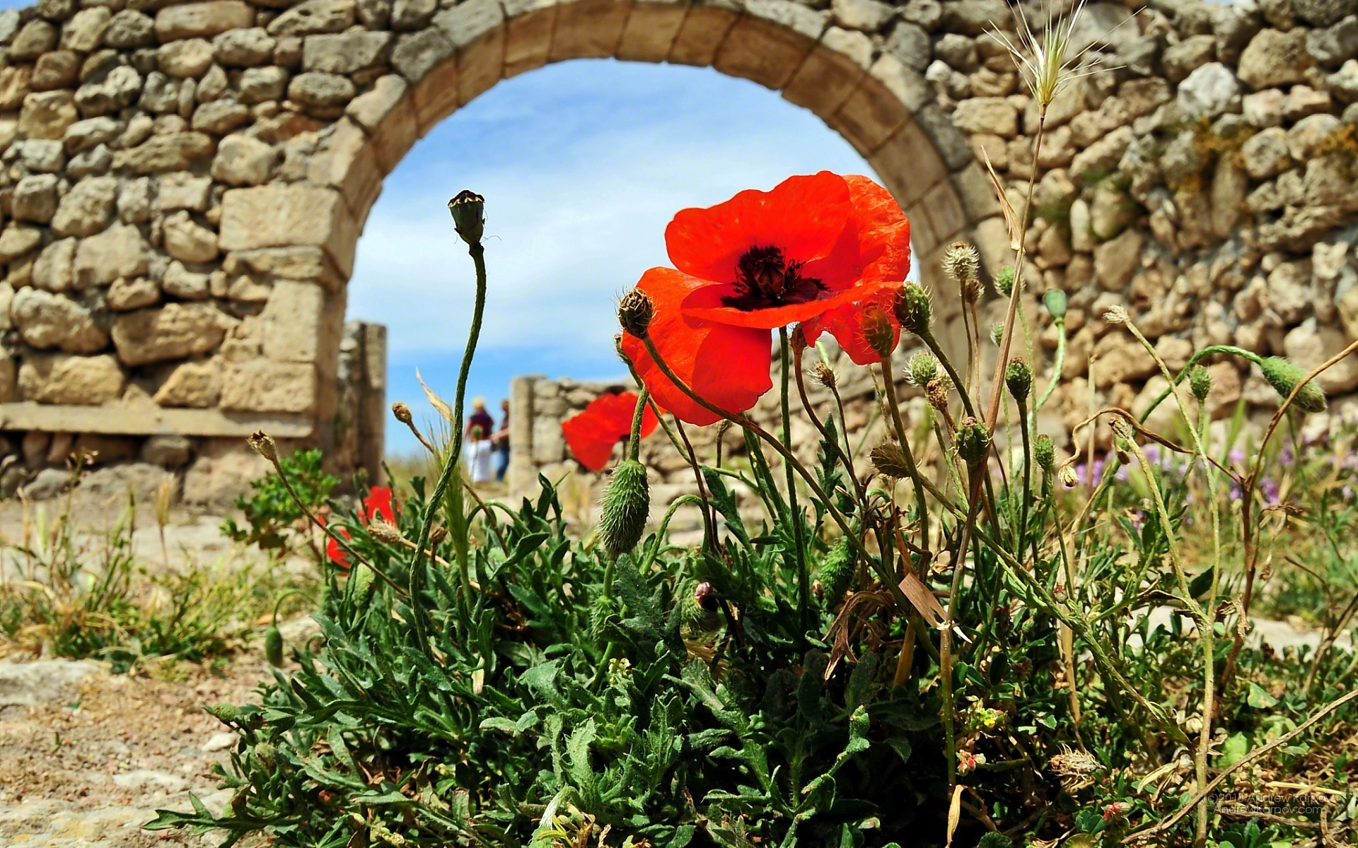 Percuma Semua Kertas Dinding - خلفيات هاتف كوندور A8 - HD Wallpaper 