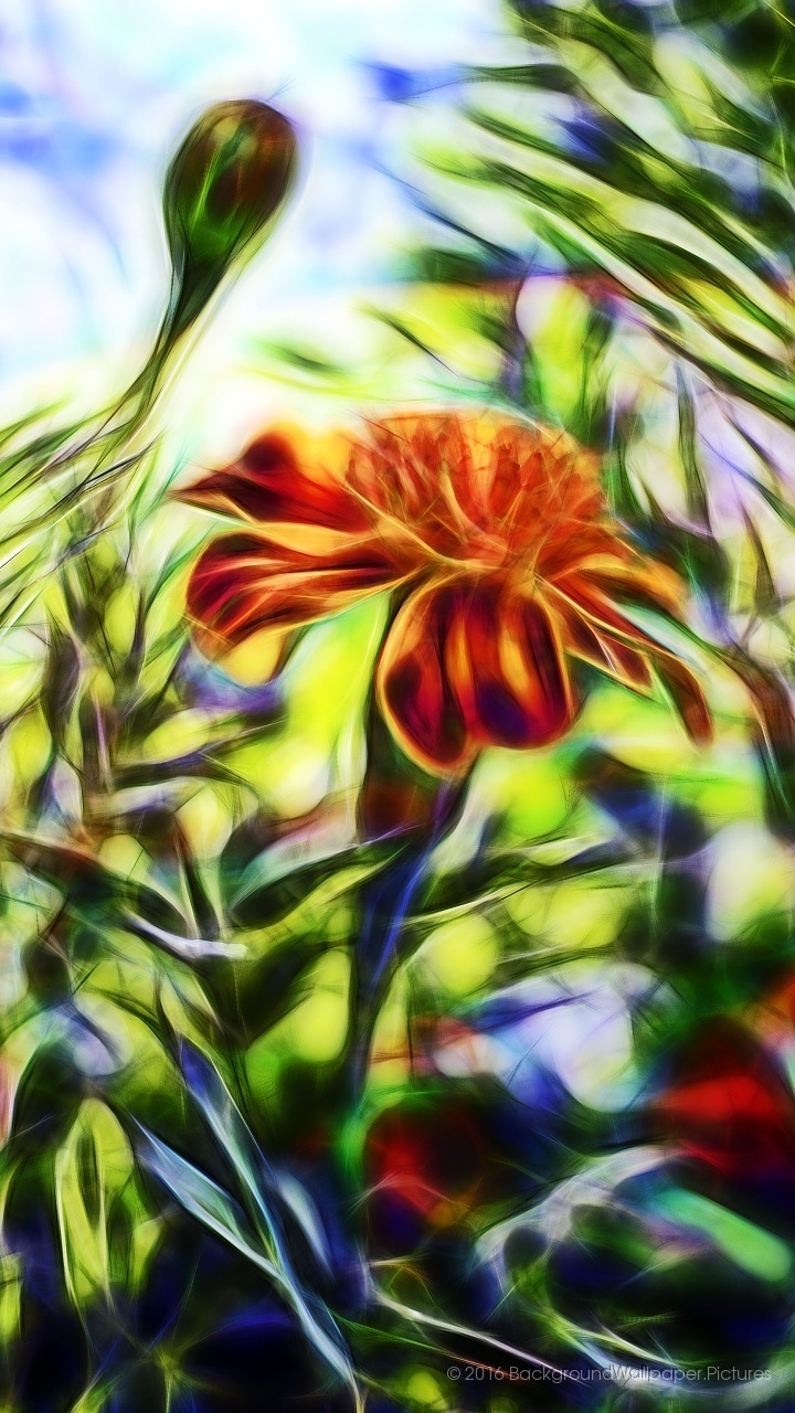 Wallpaper Hd Untuk Mudah Alih - عکس طبیعی برای تصویر زمینه گوشی - HD Wallpaper 