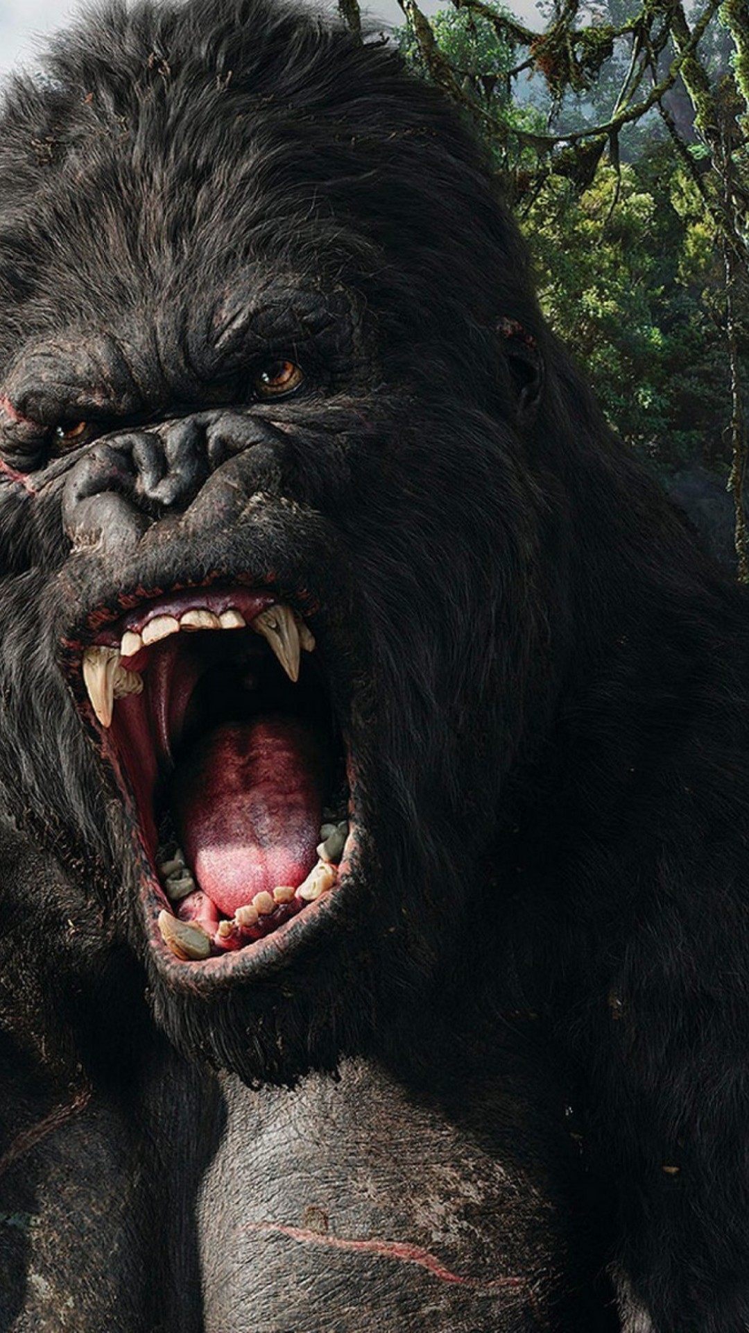 King Kong Whatsapp - HD Wallpaper 