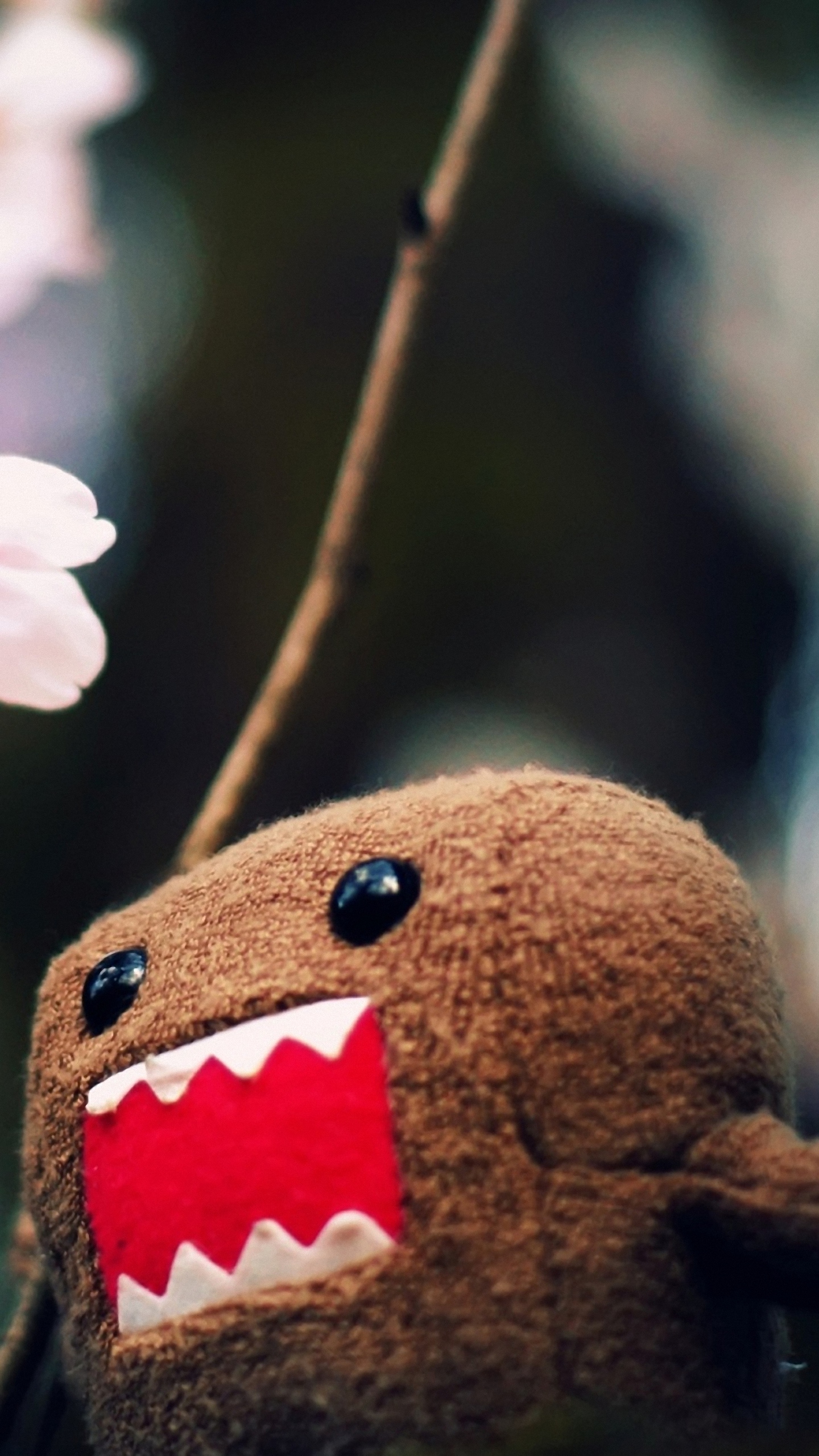 Hd Domo Kun Xiaomi Mi5 Wallpapers - Domo Kun Wallpaper Hd - HD Wallpaper 
