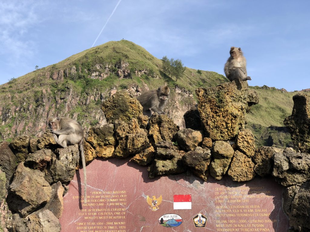 Outcrop - HD Wallpaper 