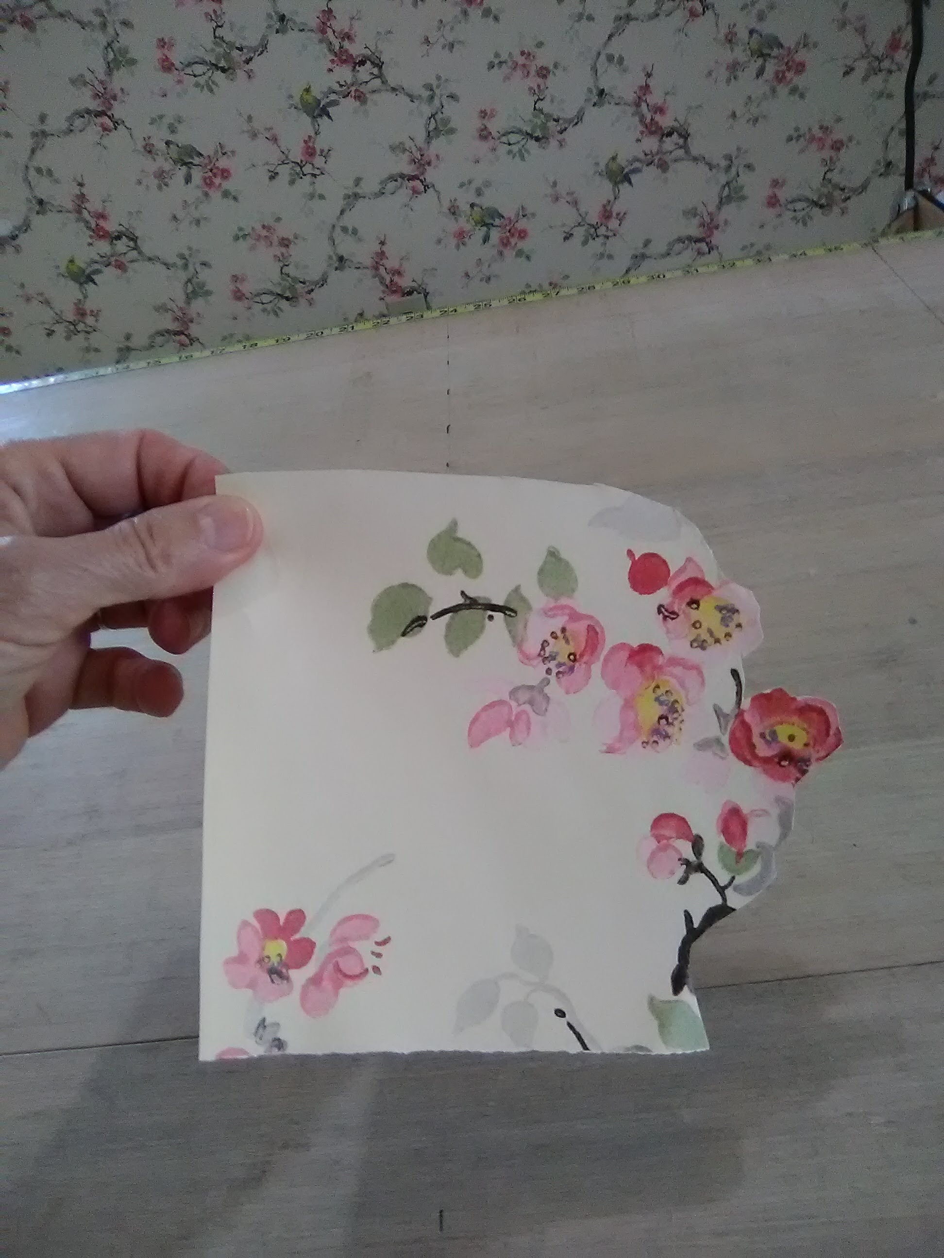 Garden Roses - HD Wallpaper 