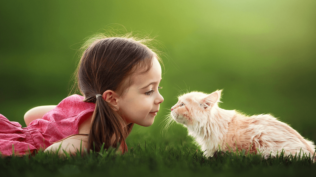 Cute Girl With Cat Hd 1024x576 Wallpaper teahub.io