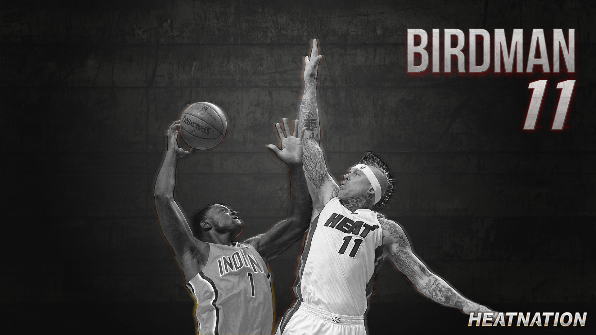 Chris Andersen - HD Wallpaper 