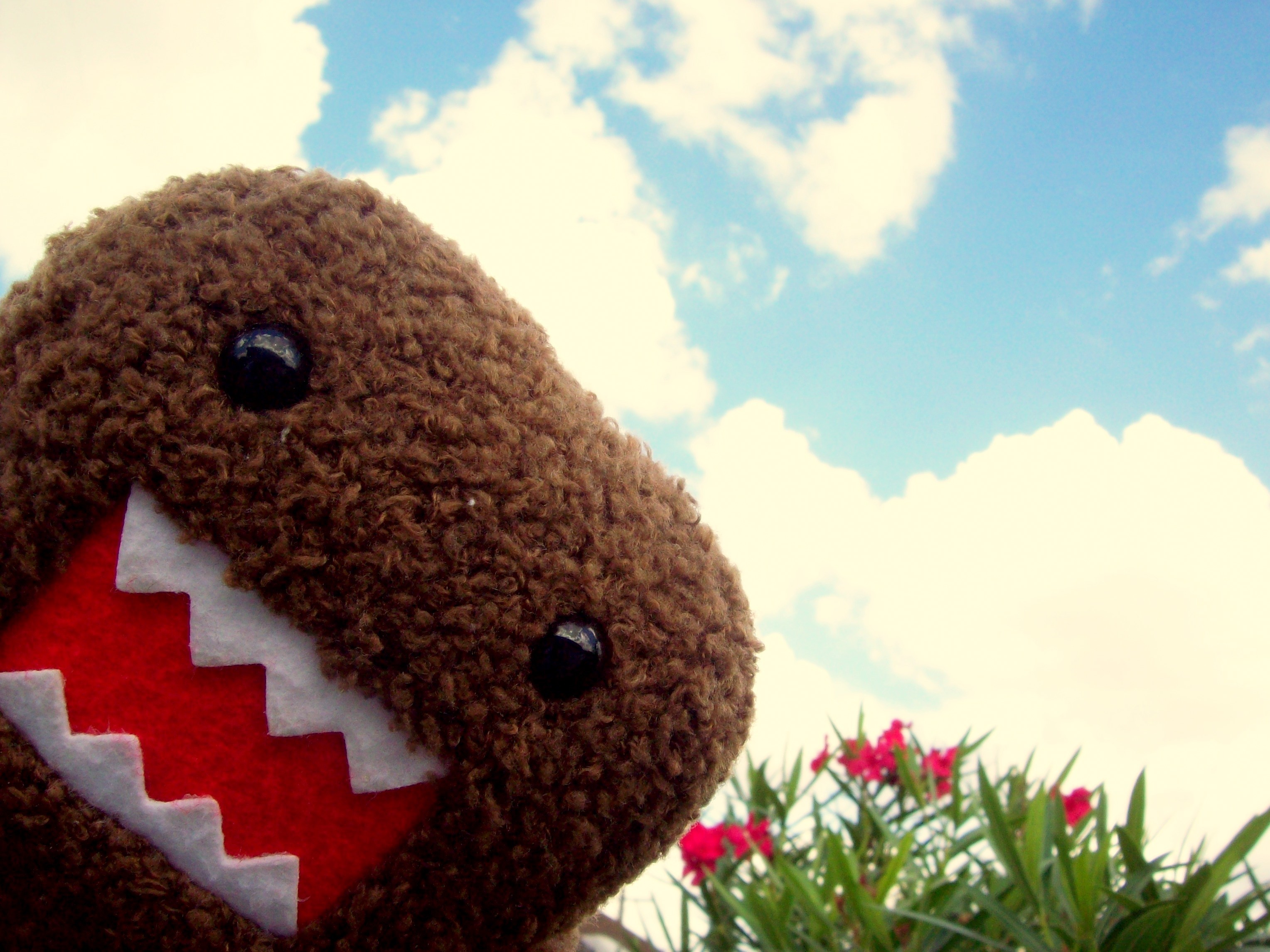Domo, High, Definition, Wallpaper, For, Desktop, Background, - Domo Wallpaper Hd - HD Wallpaper 