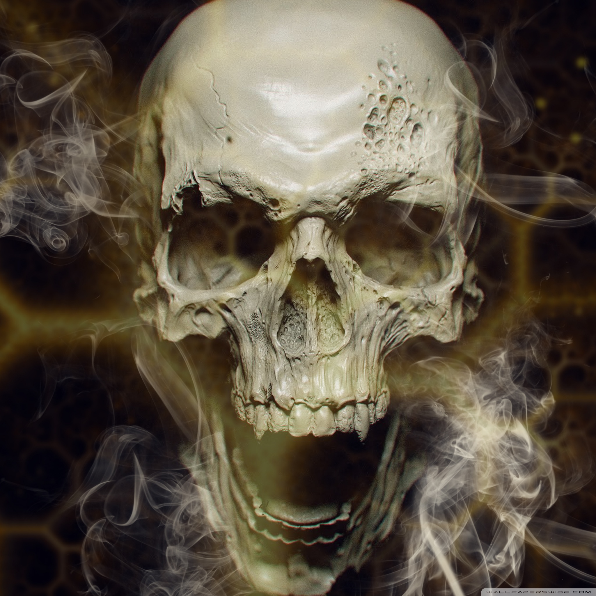 Skull Wallpaper 4k Hd - HD Wallpaper 