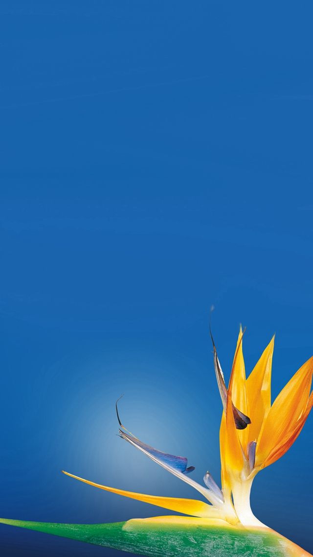 Hoping Today Is Better Than Yesterday - HD Wallpaper 