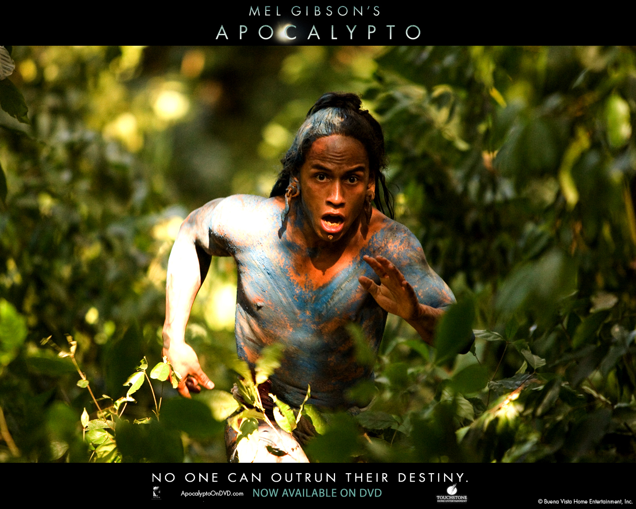 Apocalypto - Apocalypto Hd - HD Wallpaper 