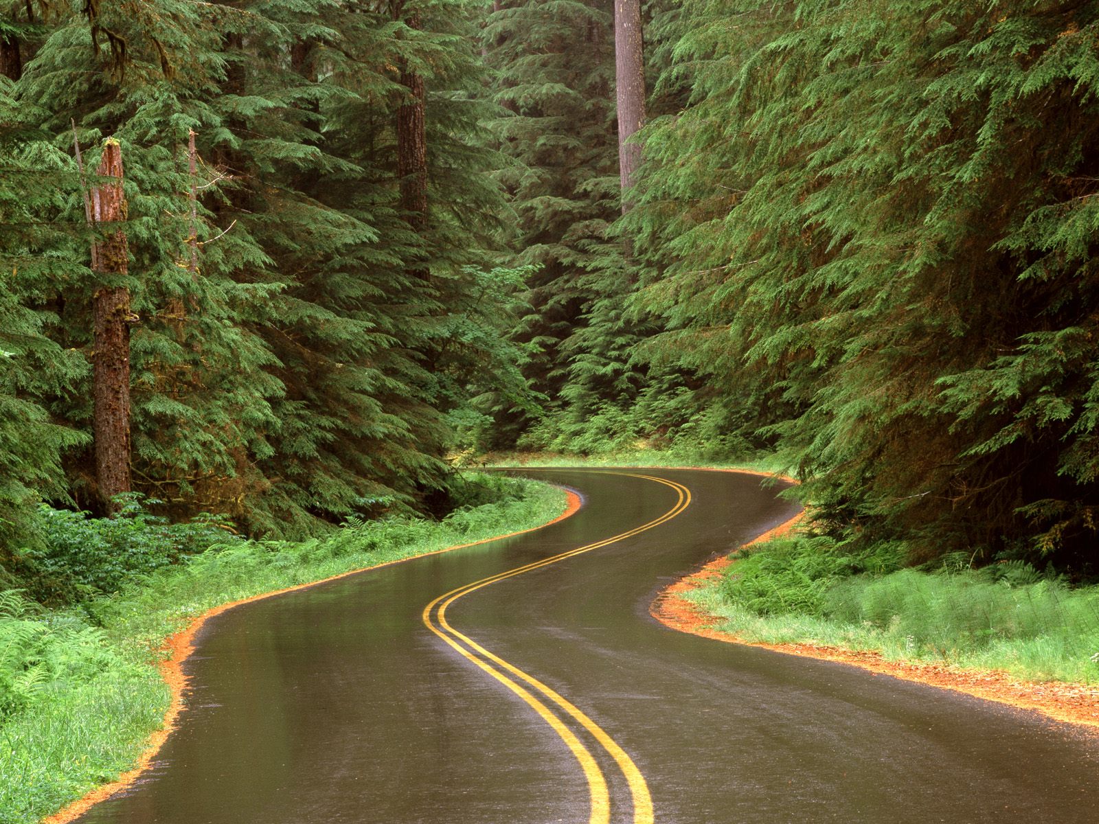 Winter Road Backgrounds - Long Road Background - HD Wallpaper 